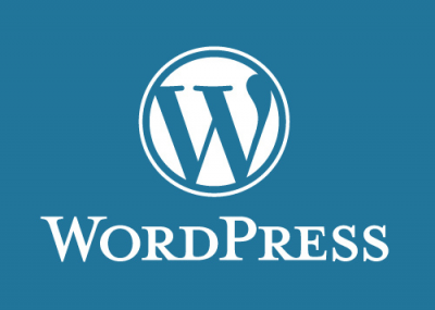 First-Hand Advice: Practical Tips From Top WordPress Pros