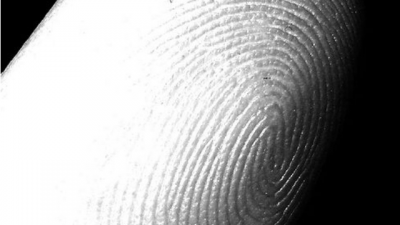 Log Into Ubuntu with Your Fingerprint