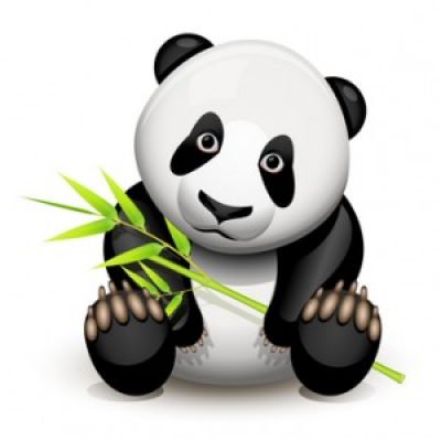 Google Panda Update: How Bloggers can Beat the System