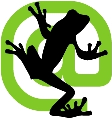 5 Critical SEO Issues Discovered with Screaming Frog