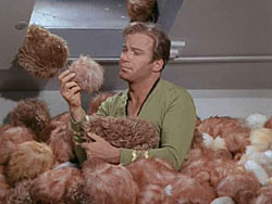 Star Trek: How Many Tribbles Will Fit in Your House?