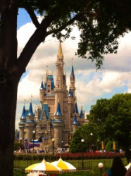 Disney World and Disneyland Open for 24 Hours on May 24!