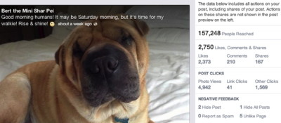Facebook’s ad simplification continues with redesign of insights