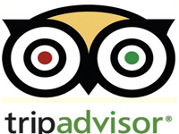 TripAdvisor (TRIP) Has Much Higher To Go