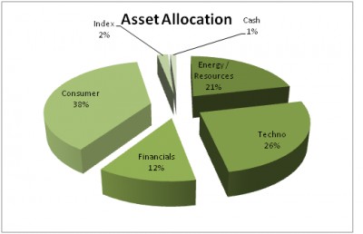Asset Allocation Recap and Eye on my 2013 Investing Goals