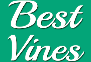 Facebook’s fastest-growing page in the U.S.? Best Vines