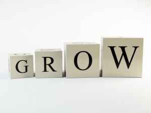 the word Grow