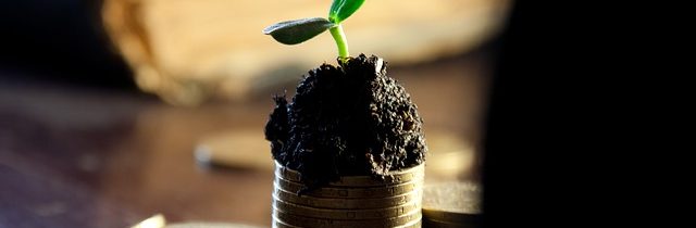 When should you start growing Financially